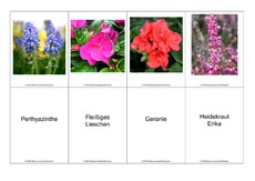 Blumen-Memo-Aufdeckspiel-5.pdf